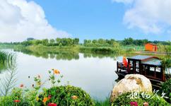 淄博天鵝湖國際慢城旅遊攻略之濕地