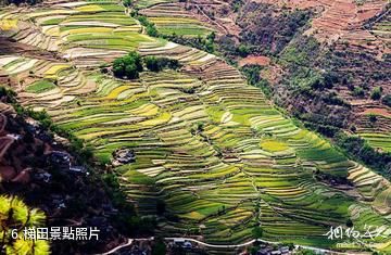 麗江寶山石頭城-梯田照片