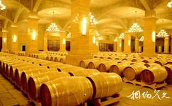 通天山葡萄酒文化科技產業園旅遊攻略之地下儲酒窖