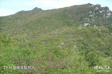 藍田王順山國家森林公園-杜鵑峰照片