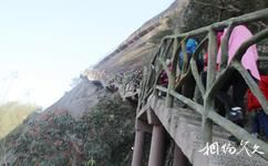 銅鼓天柱峰國家森林公園旅遊攻略之棧道