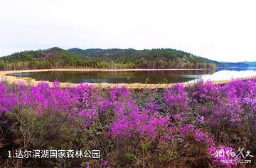 达尔滨湖国家森林公园照片