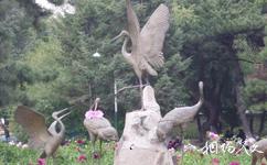 长春南湖公园旅游攻略之芍药园
