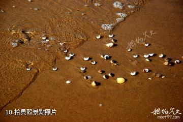 樂亭淺水灣浴場-拾貝殼照片
