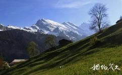 瑞士雪朗峰旅游攻略之徒步下山