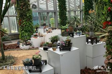 上海植物園-展覽溫室照片