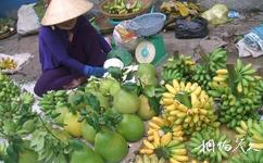 越南胡志明市旅游攻略之水果