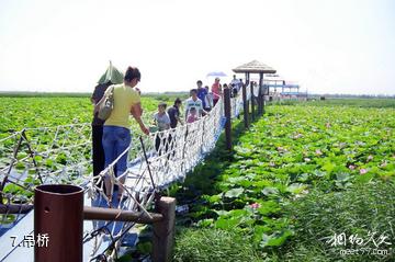 大庆黑鱼湖生态景区-吊桥照片