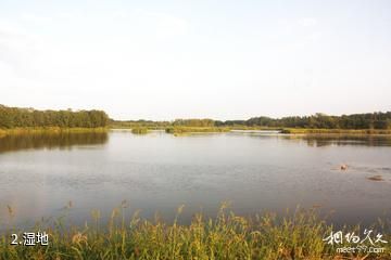 乌苏里湿地千岛林风景区-湿地照片