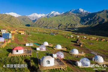 新疆溫宿歸園田居塔村-草原照片