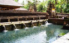 巴厘岛旅游攻略之圣泉寺