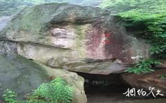 長樂錦鯉岩旅遊攻略之蓮池
