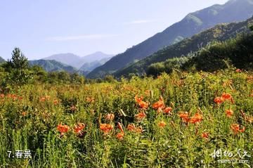 陕西长青国家级自然保护区-春景照片