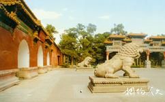 北京景山公園旅遊攻略之元代石獅