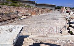 土耳其库萨达斯镇旅游攻略之马赛克瓷砖
