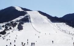 賈汪督公湖旅遊攻略之滑雪