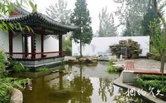 济南植物园旅游攻略之腊梅园