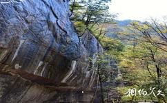 陕西木王国家森林公园旅游攻略之相思崖
