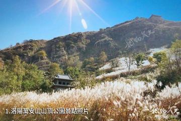 洛陽萬安山山頂公園照片