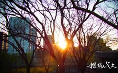 北京薊門煙樹公園旅遊攻略之夕陽