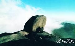 福建梁野山国家级自然保护区旅游攻略之古母巨石