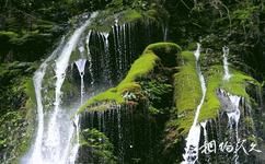 湖北七姊妹山国家级自然保护区旅游攻略之涧溪