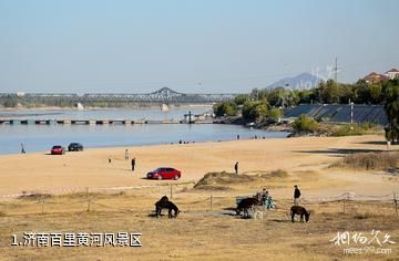 济南百里黄河风景区照片