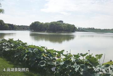上海高家莊生態園-高湖照片