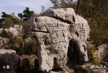 元古奇石林风景区-象照片