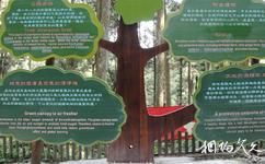 台灣溪頭森林公園（溪頭自然教育園區）旅遊攻略之特色標識
