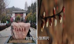 襄阳万山梅园驴友相册