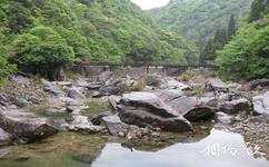 文成铜铃山国家森林公园旅游攻略之水、石、桥