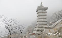 嵩山少林寺三皇寨旅遊攻略之禪塔