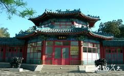 北京中山公园旅游攻略之唐花坞