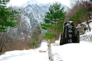 四川廣元青川唐家河國家級自然保護旅遊攻略-唐家河國家級自然保護區景點排行榜