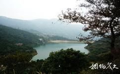 溫州茶山五美景園旅遊攻略之龍王寺水庫