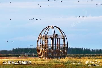 紅旗嶺千鳥湖旅遊度假區(暫停開放)-觀鳥台照片