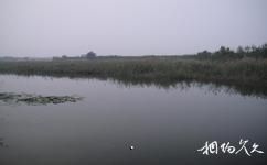 滨州沾化冬枣生态旅游攻略之思源湖