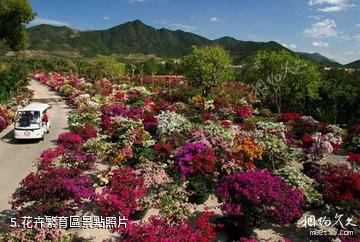 三亞龍虎園-花卉繁育區照片