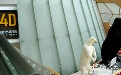 天津自然博物馆旅游攻略之4D动感影院