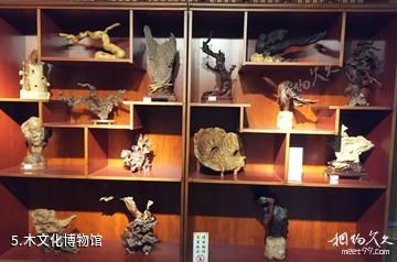临沂龙园休闲度假农庄-木文化博物馆照片