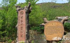北京白河峡谷旅游攻略之硅化木地质公园