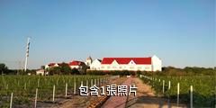 瑪納斯香海莊園驢友相冊