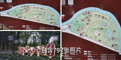 成都望江楼公园驴友相册
