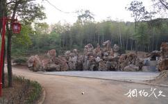 安庆莲洞国家森林公园旅游攻略之假山