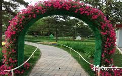 鄭州綠城廣場旅遊攻略之綠地花園