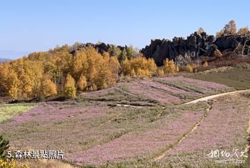 內蒙古馬鞍山國家森林公園-森林照片