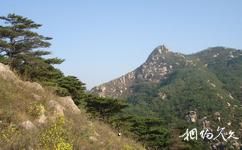 泰安徂徠山國家森林公園旅遊攻略之望山