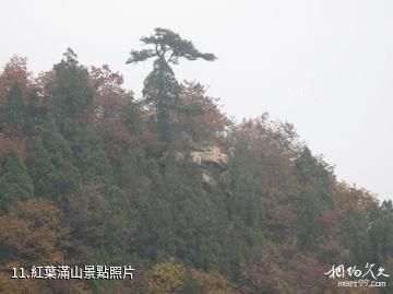 遵化鷲峰山-紅葉滿山照片