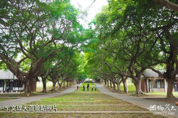 台灣台中東海大學-文理大道照片